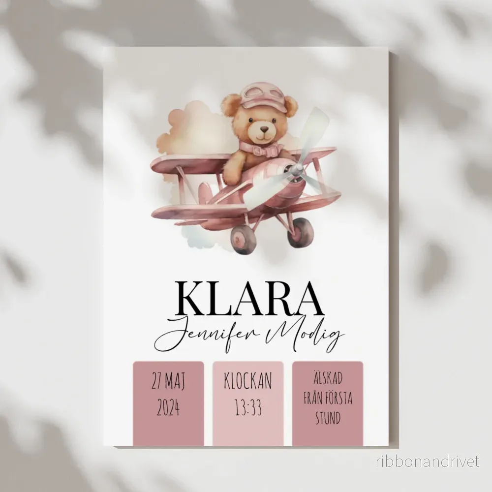 Rosa flygplan | Personlig födelseposter