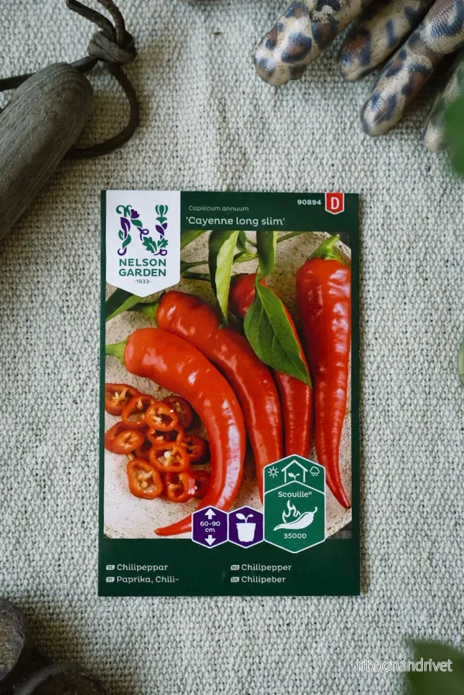 Chilipeppar ’Cayenne Long Slim’